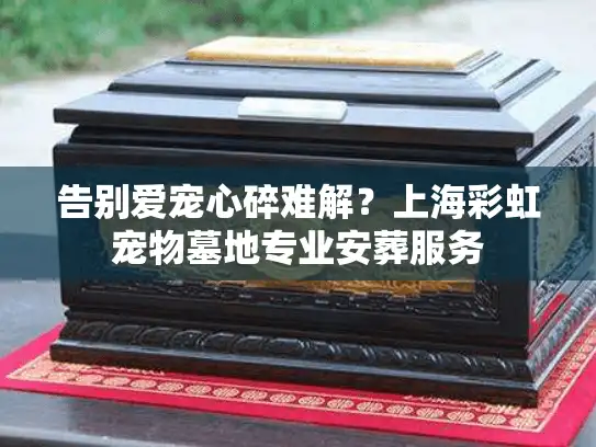 告别爱宠心碎难解？上海彩虹宠物墓地专业安葬服务