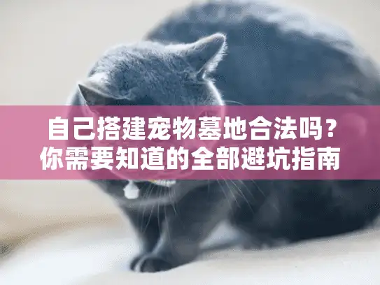 自己搭建宠物墓地合法吗？你需要知道的全部避坑指南