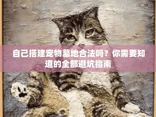 自己搭建宠物墓地合法吗？你需要知道的全部避坑指南
