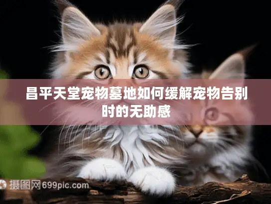昌平天堂宠物墓地如何缓解宠物告别时的无助感