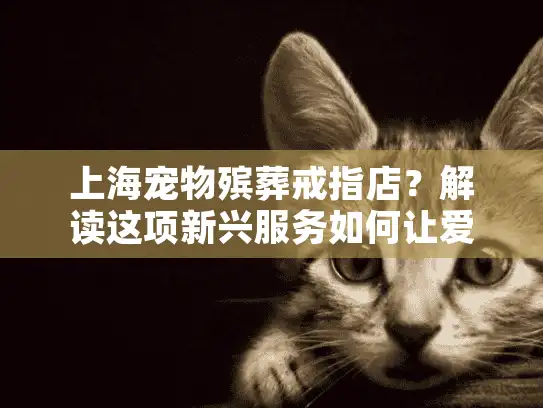 上海宠物殡葬戒指店？解读这项新兴服务如何让爱永恒