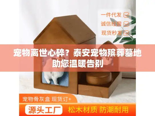 宠物离世心碎？泰安宠物殡葬墓地助您温暖告别