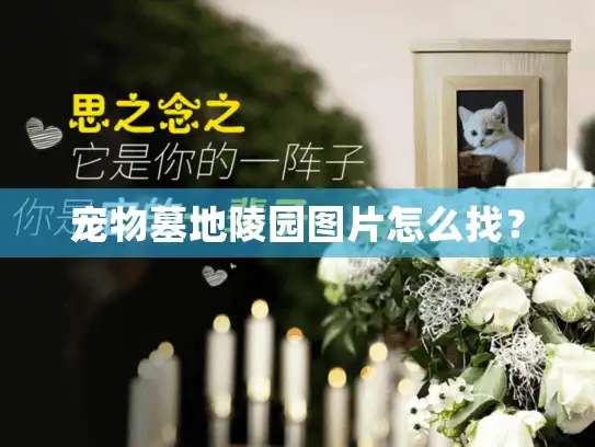 宠物墓地陵园图片怎么找？