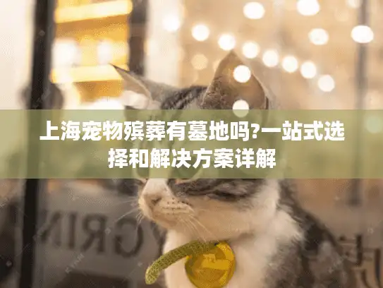 上海宠物殡葬有墓地吗?一站式选择和解决方案详解