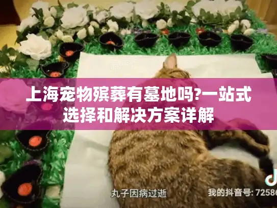 上海宠物殡葬有墓地吗?一站式选择和解决方案详解