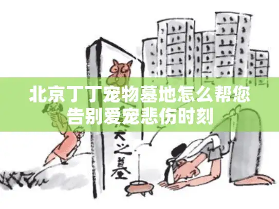 北京丁丁宠物墓地怎么帮您告别爱宠悲伤时刻