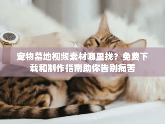 宠物墓地视频素材哪里找？免费下载和制作指南助你告别痛苦