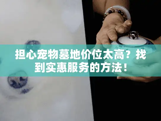 担心宠物墓地价位太高？找到实惠服务的方法！
