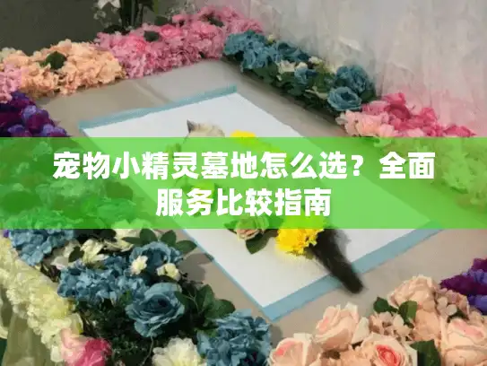 宠物小精灵墓地怎么选？全面服务比较指南