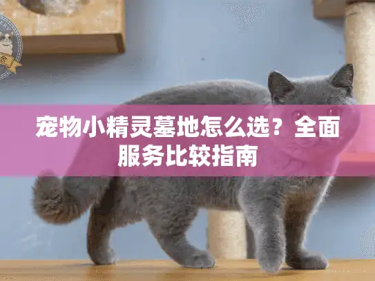 宠物小精灵墓地怎么选？全面服务比较指南