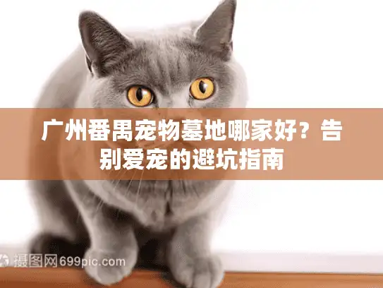 广州番禺宠物墓地哪家好？告别爱宠的避坑指南