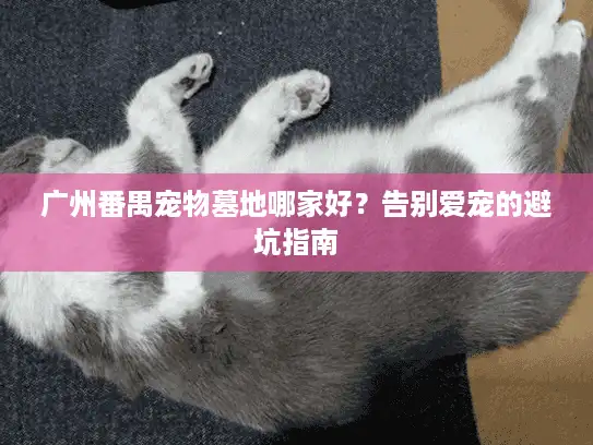 广州番禺宠物墓地哪家好？告别爱宠的避坑指南