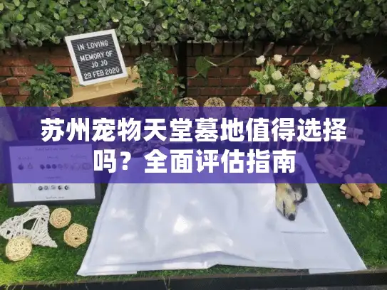 苏州宠物天堂墓地值得选择吗？全面评估指南