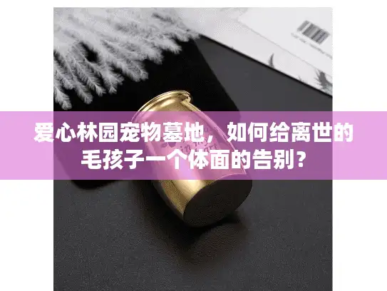 爱心林园宠物墓地，如何给离世的毛孩子一个体面的告别？