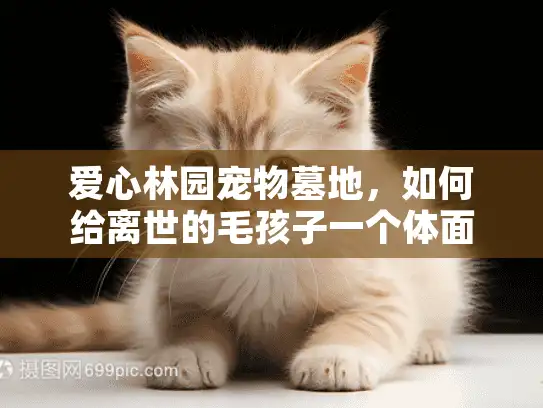 爱心林园宠物墓地，如何给离世的毛孩子一个体面的告别？