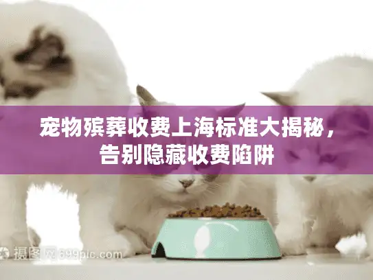 宠物殡葬收费上海标准大揭秘，告别隐藏收费陷阱