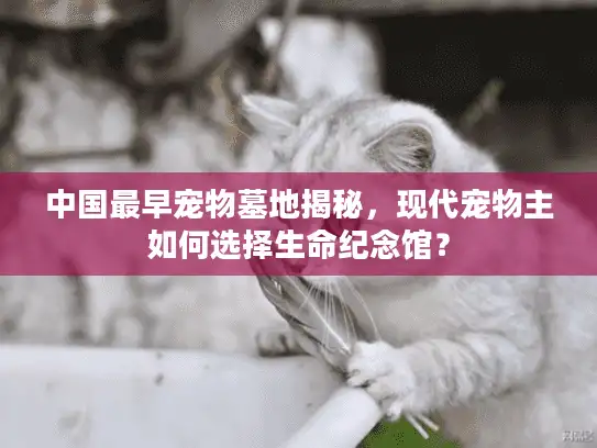 中国最早宠物墓地揭秘，现代宠物主如何选择生命纪念馆？
