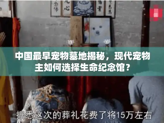 中国最早宠物墓地揭秘，现代宠物主如何选择生命纪念馆？