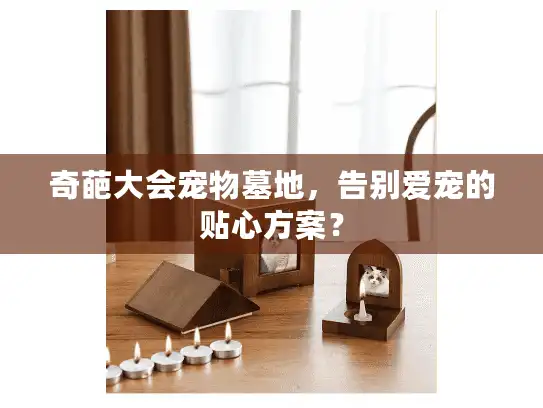 奇葩大会宠物墓地，告别爱宠的贴心方案？