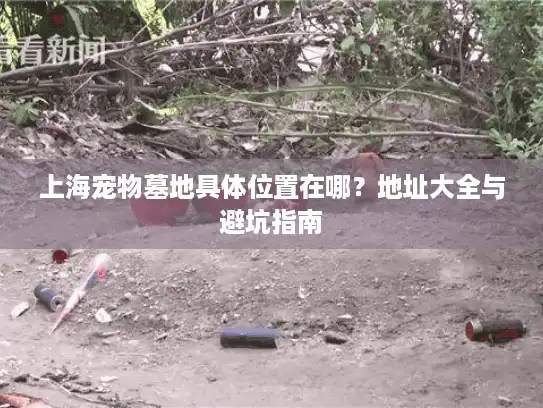 上海宠物墓地具体位置在哪？地址大全与避坑指南