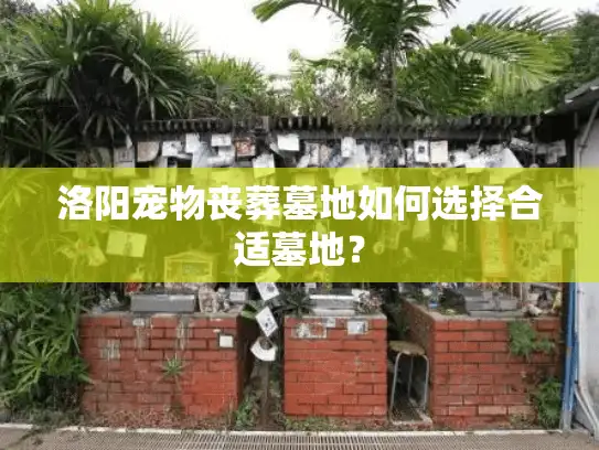 洛阳宠物丧葬墓地如何选择合适墓地？