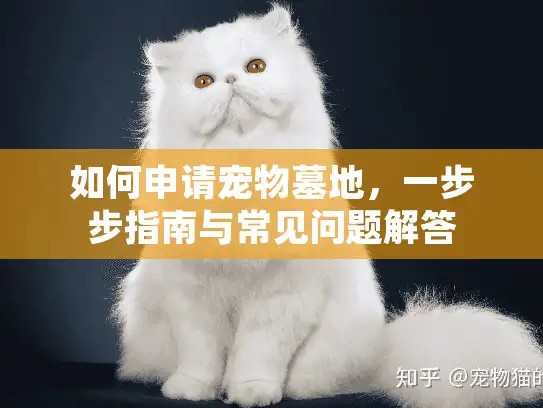 如何申请宠物墓地，一步步指南与常见问题解答