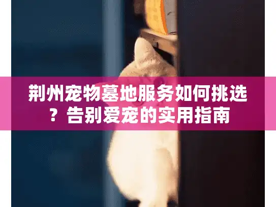 荆州宠物墓地服务如何挑选？告别爱宠的实用指南