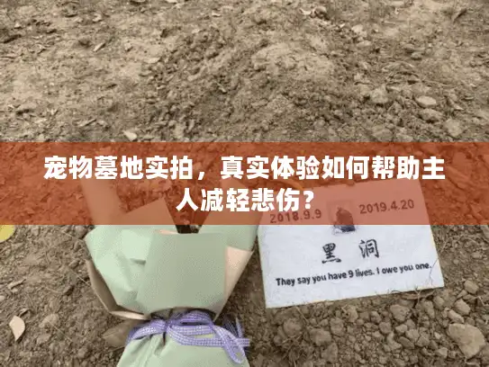 宠物墓地实拍，真实体验如何帮助主人减轻悲伤？