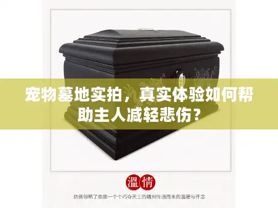 宠物墓地实拍，真实体验如何帮助主人减轻悲伤？
