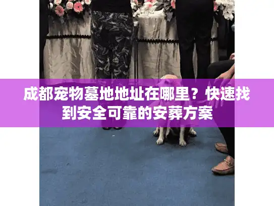 成都宠物墓地地址在哪里？快速找到安全可靠的安葬方案