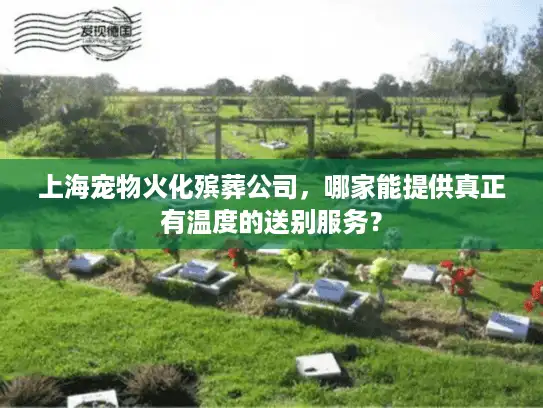 上海宠物火化殡葬公司，哪家能提供真正有温度的送别服务？