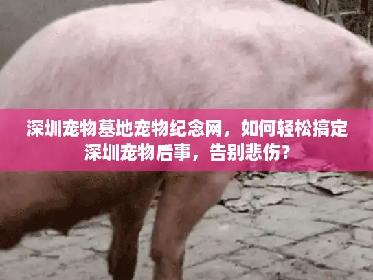 深圳宠物墓地宠物纪念网，如何轻松搞定深圳宠物后事，告别悲伤？