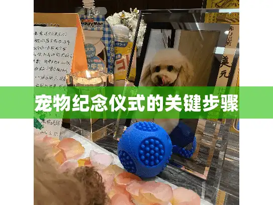 宠物纪念仪式的关键步骤