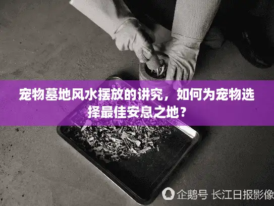 宠物墓地风水摆放的讲究，如何为宠物选择最佳安息之地？