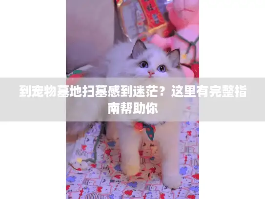 到宠物墓地扫墓感到迷茫？这里有完整指南帮助你