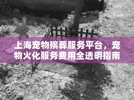 上海宠物殡葬服务平台，宠物火化服务费用全透明指南2025