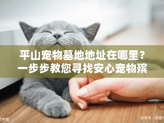 平山宠物墓地地址在哪里？一步步教您寻找安心宠物殡葬归宿
