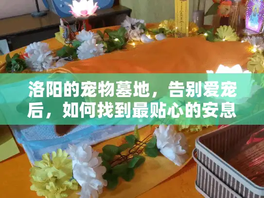 洛阳的宠物墓地，告别爱宠后，如何找到最贴心的安息之地？