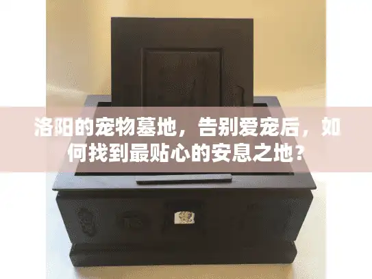 洛阳的宠物墓地，告别爱宠后，如何找到最贴心的安息之地？