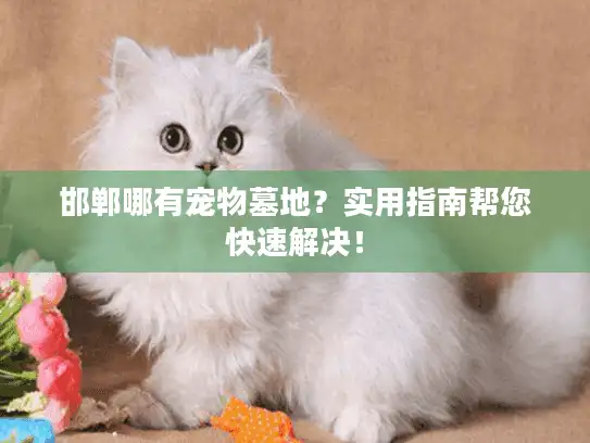 邯郸哪有宠物墓地？实用指南帮您快速解决！
