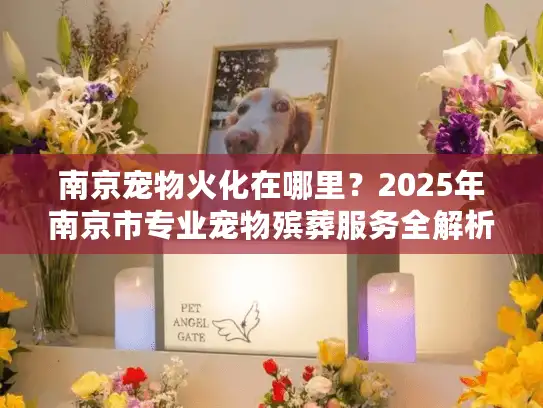 南京宠物火化在哪里？2025年南京市专业宠物殡葬服务全解析