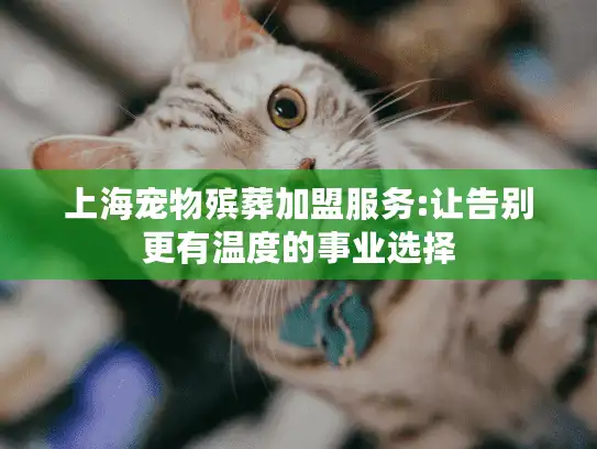 上海宠物殡葬加盟服务:让告别更有温度的事业选择