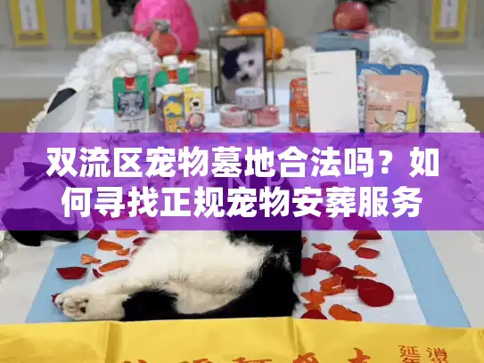 双流区宠物墓地合法吗？如何寻找正规宠物安葬服务