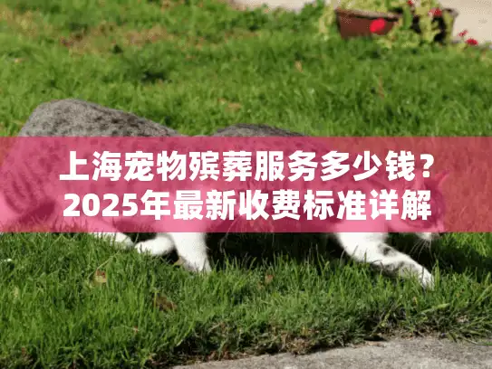 上海宠物殡葬服务多少钱？2025年最新收费标准详解