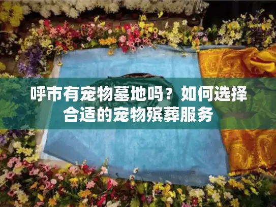 呼市有宠物墓地吗？如何选择合适的宠物殡葬服务