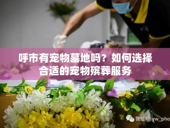 呼市有宠物墓地吗？如何选择合适的宠物殡葬服务