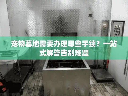 宠物墓地需要办理哪些手续？一站式解答告别难题