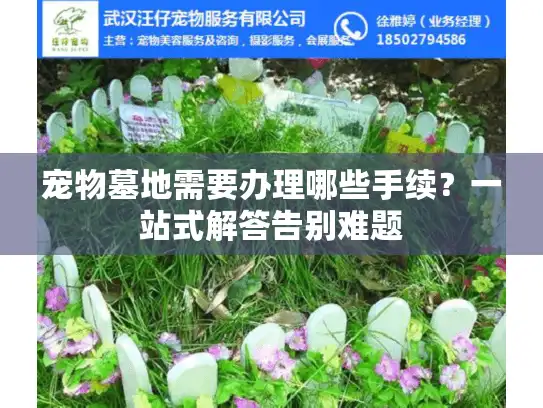 宠物墓地需要办理哪些手续？一站式解答告别难题