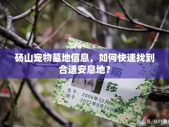 砀山宠物墓地信息，如何快速找到合适安息地？