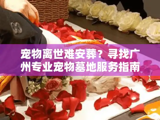 宠物离世难安葬？寻找广州专业宠物墓地服务指南